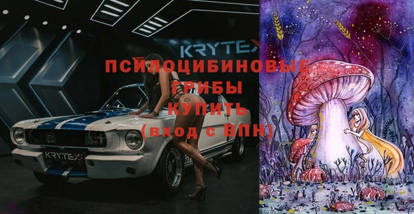сатива Слюдянка