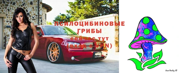 сатива Слюдянка
